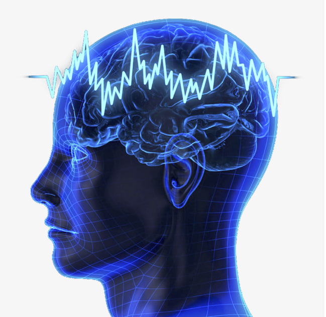 人脑工程与AI医疗风口已至，光伏设备制造板块同步上扬